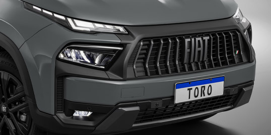 Toro